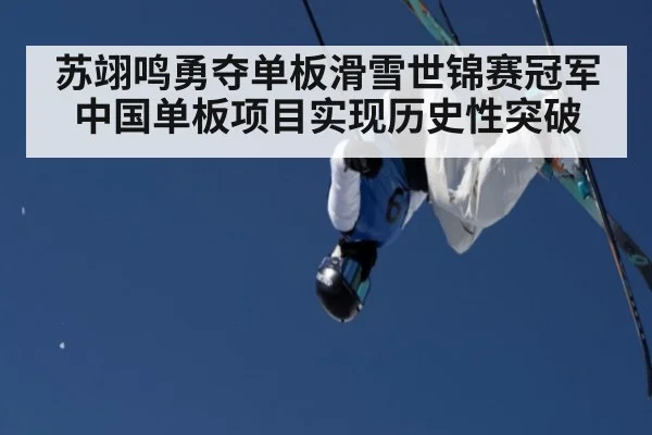 苏翊鸣勇夺单板滑雪世锦赛冠军 中国单板项目实现历史性突破